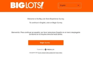 visit-www.biglots.com/survey