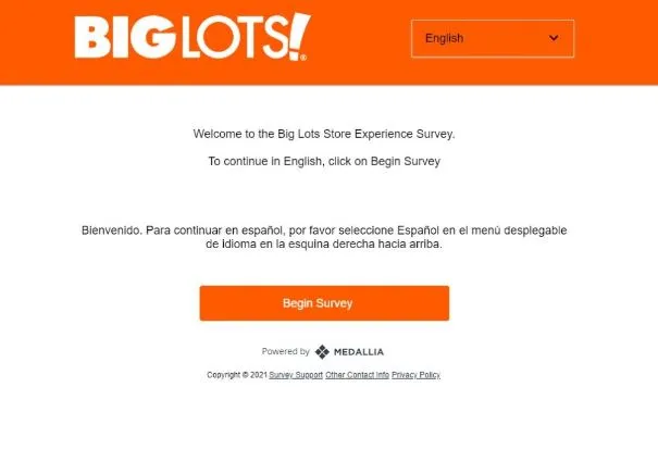 visit-www.biglots.com/survey
